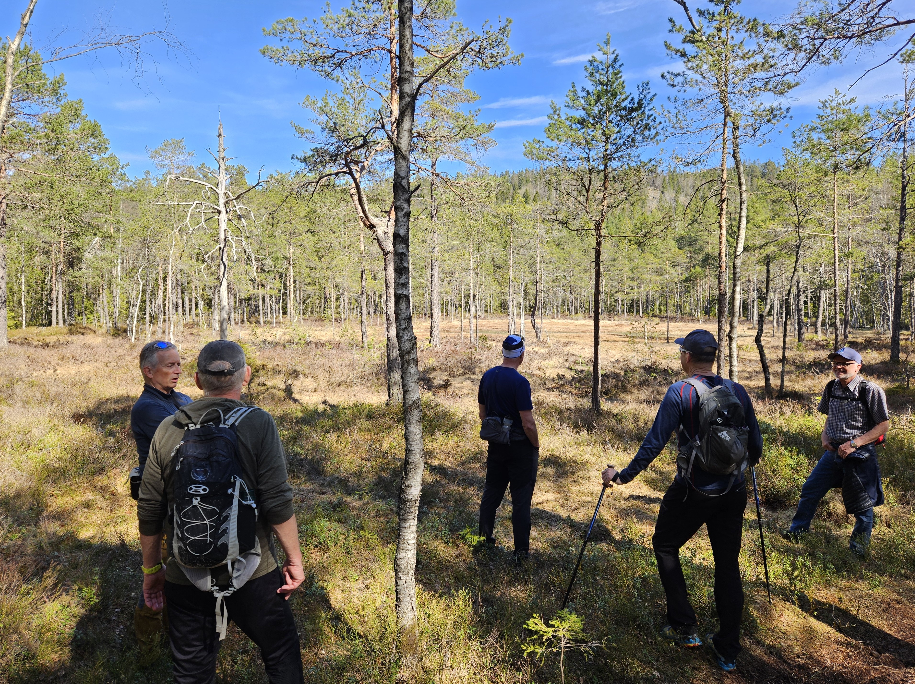 Artikkelbilde til artikkelen På gåtur Burudvann - Skriverberget - Kringlebånn